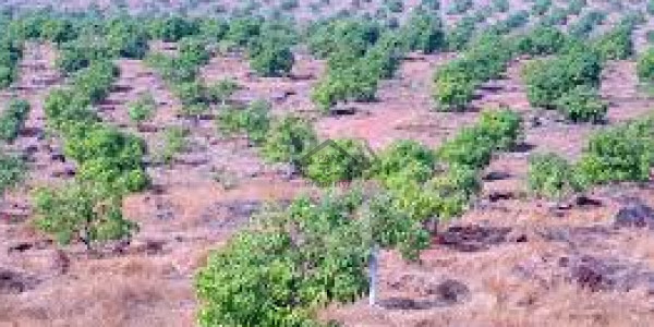 Bahria Town - Precinct 26-A - 125 Square Yards Residential Plot File Available For Sale In Karachi