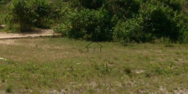 Mouza Chatti Janobi- Open Land For Sale With 1 Acre Marine Drive Front IN Gwadar