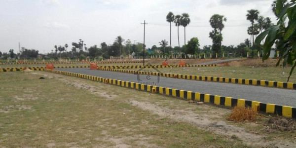 3.15 Kanal-Plot Main Adalat Ghara Road