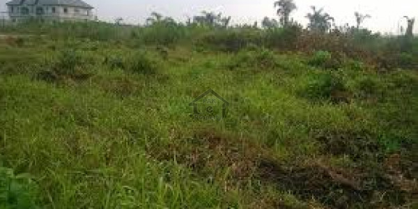 Khanewal Vehari Road - 32 Kanal Agricultural Land For Sale IN Vehari