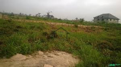 Vehari - 24 Kanal Agricultural Land For Sale IN Vehari