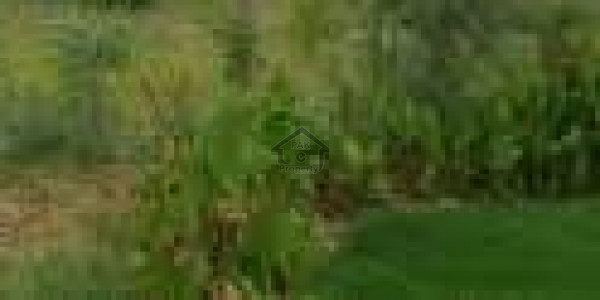 200 Sq Yard Plot For Sale In Al Madina Model Town Housing Scheme IN Sukkur