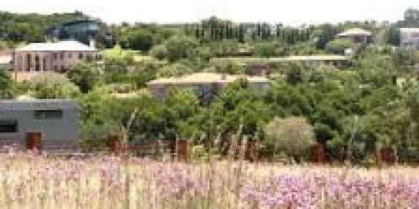 College Road, Plot For Sale In Faisalabad