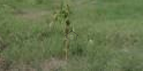 Madina Gardens - Plot Is Available For Sale Near Punjab College Samundari IN Faisalabad