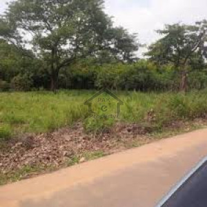 College Road - Plot For Sale In Defence Paradise College Road Samundari IN Faisalabad
