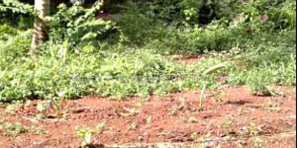 Eden Valley, 5 Marla-Plot Available For Sale In Block D