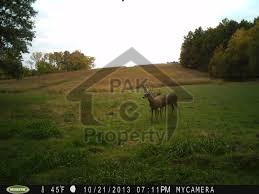 Property Overview Corner home behind gulgasht colony multan near by hayderi road .  That based on 5 