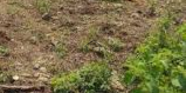 Bahria Garden City - Zone 1 - Residential Plot # 59C Is Available For Sale IN Rawalpindi