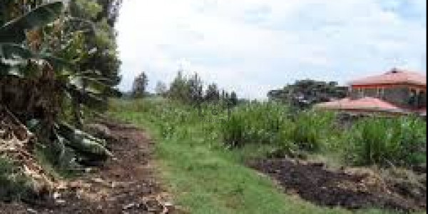 Bahria Hills-1 Kanal Residential Pair Plot For Sale