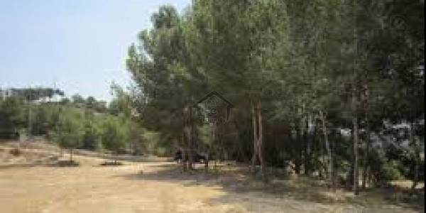 Bahria Town Phase 8 -1 Kanal -Plot Available For Sale