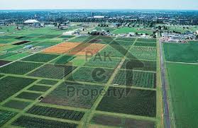 Residential Plot Available For Sale