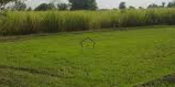 Land Is Available For Sale IN Chakwal