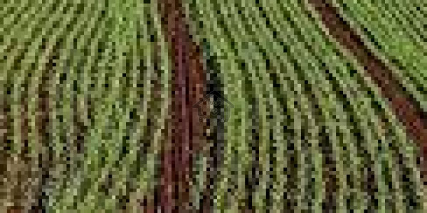 GT Road - Land Is Available For Sale IN Rawalpindi