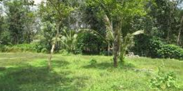 Bahria Town Phase 8 - 1 0 Marla -Plot Available For Sale