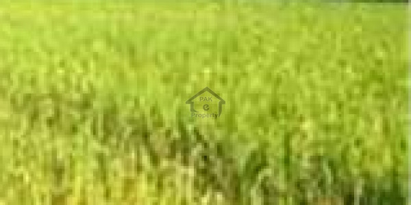 Thalian - Land Is Available For Sale IN Islamabad