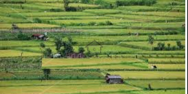 Naval Farms Housing Scheme, 5 Kanal Farm House Land In Sector C