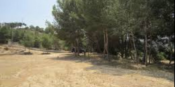 DC Colony - 10 Marla -Plot Available For Sale