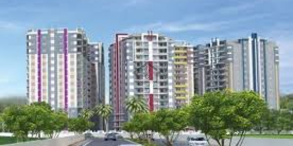 6 Marla -Plaza Available For Sale