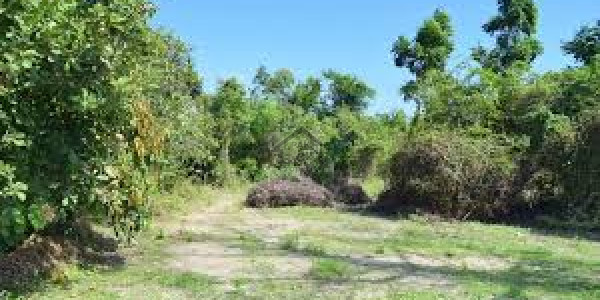 I-15/3,-5 Marla 25x50 Residential Plot For Sale