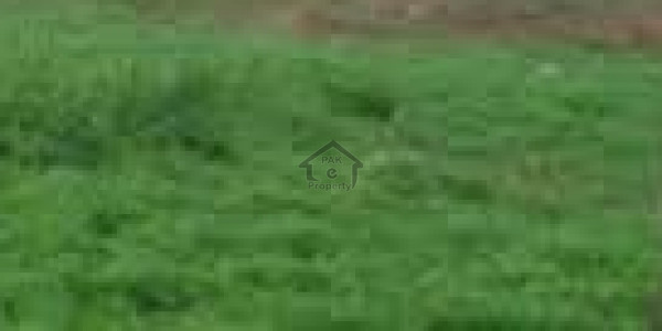 Karachi University Housing Society, Scheme 33 - 240 Square yards plot  IN Karachi