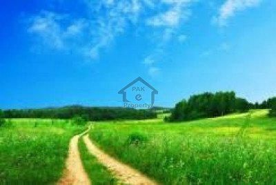 Jati Umra Road - 5.5 Acres Land For Sale Jati Umrah Road Near Shareef Medical City Lahore