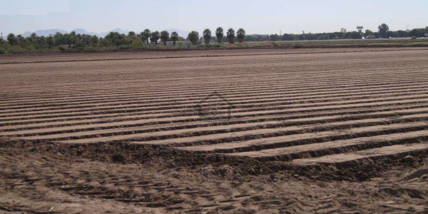 Ministry Of Commerce E-19-1 Kanal  plot for sale