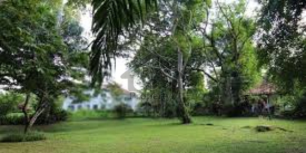 Residential Plot Is Available For Sale