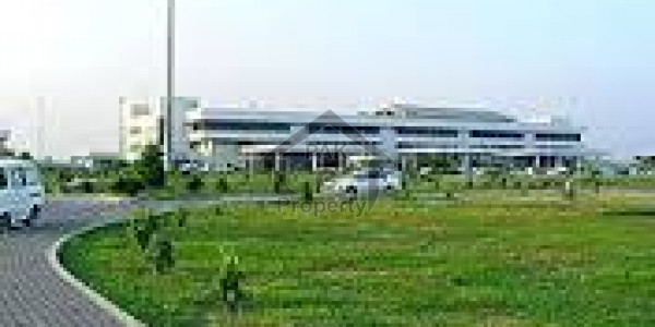 Agricultural Land Is Available For Sale