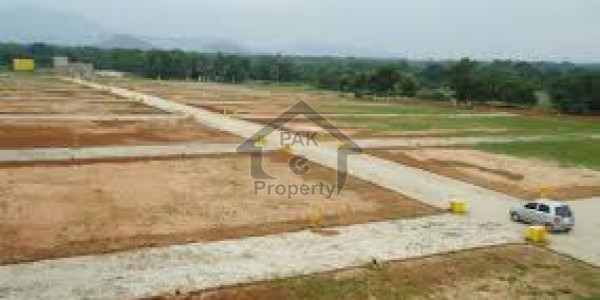 Agricultural Land Is Available For Sale