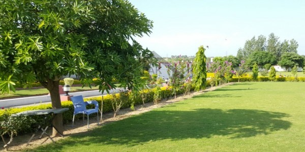 F-10 511,sqyd 5,bed room + study room full House for Rent .