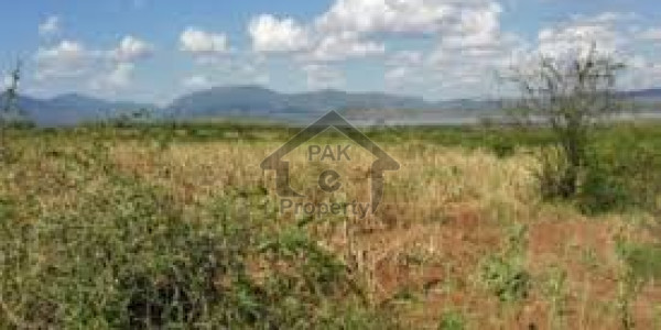 Agricultural Land Is Available For Sale