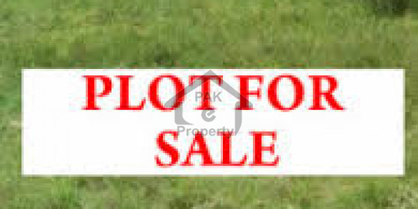 Agricultural Land Is Available For Sale