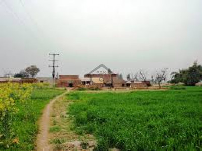 Chak Beli Khan- 25 Kanal Cattle Farm For Sale In Chak Beli Khan Road Rawalpindi