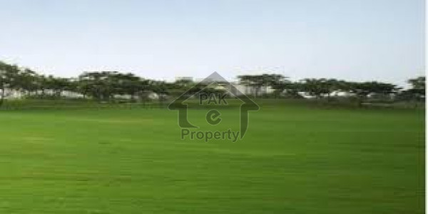 Agricultural Land Is Available For Sale