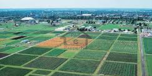 Agricultural Land Is Available For Sale