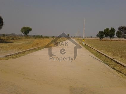 Agricultural Land Is Available For Sale