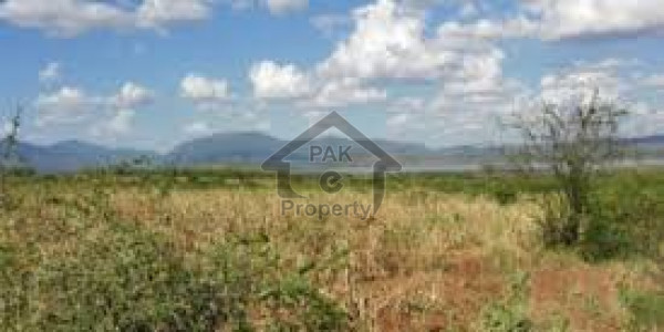 Agricultural Land Is Available For Sale