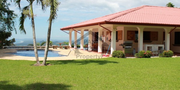 F-10 Beautiful neat and clean 500,sqyd 6,bed room House for Rent