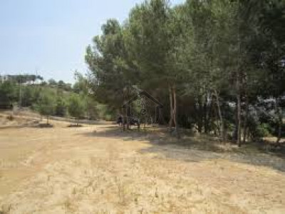 DHA Phase 1 - 1 Kanal Plot In C Block For Urgent Sale