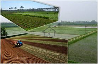 Daska Road-1 Kanal Industrial Plot For Sale In Sialkot