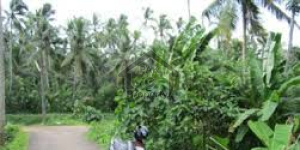 Residential Plot For Sale