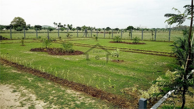 Madni Colony,17 Marla Plot Is Available For Sale
