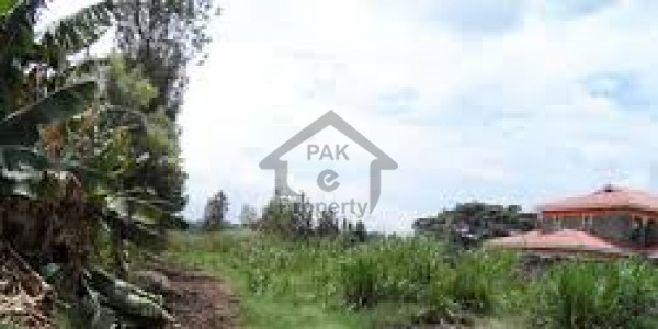 Industrial Land For Sale