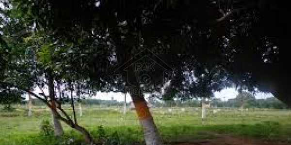 Residential Plot For Sale