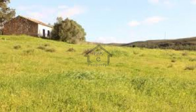 KDA Kohat,10 Marla  Plot Is Available For Sale