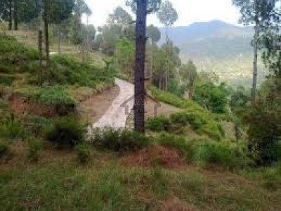 Murree Resorts,1 Kanal River Valley View Plots For Sale