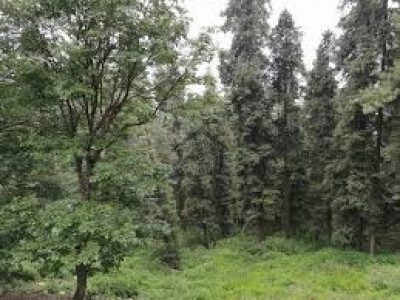 New Murree, 2 Kanal Plot For Sale
