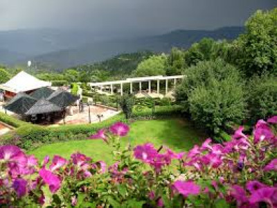 New Murree, 1.1 Kanal-Plot For Sale