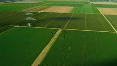 Shahpur Dam, 15 Kanal -Agricultural Land For Sale