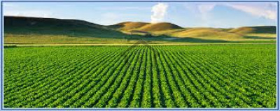 Adiala Road, 400 Kanal Agri Land For Sale